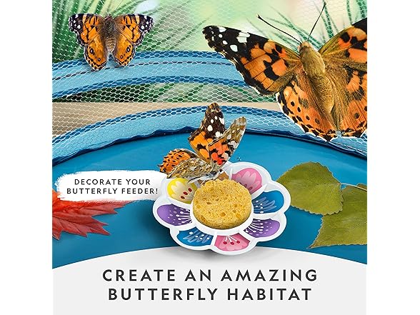 National Geographic Butterfly Growing Kit