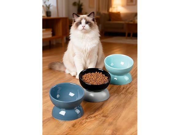 ABRUTY Cat Water Bowl, 16 OZ Ceramic Elevated