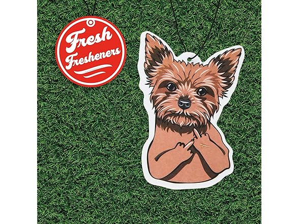 Fresh Fresheners Air Freshener Scented