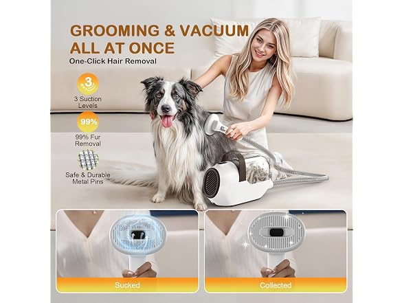 Dog Grooming Vacuum, Dog Grooming Kit with P