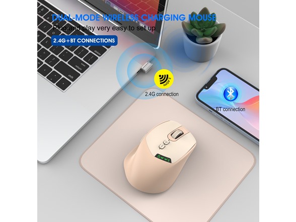 3P Experts Dual-Mode Wireless Mouse