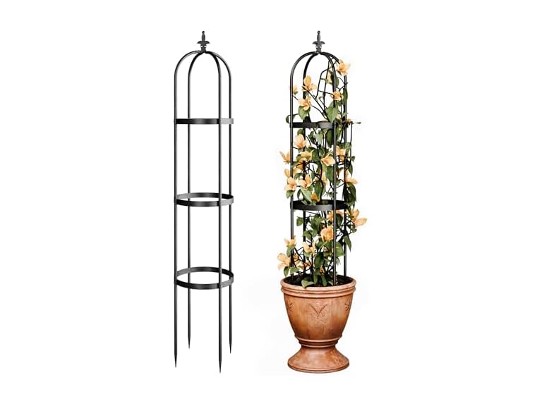 Idzo Trellis for Climbing Plants