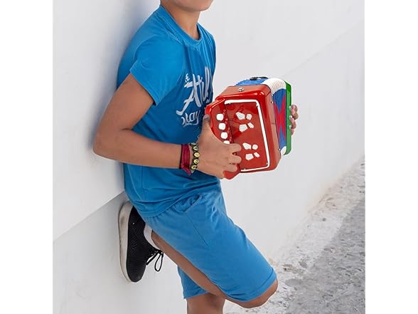 Horse Button Accordion