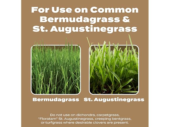 Scotts Turf Builder Weed & Feed