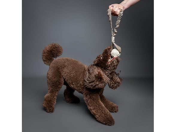 NOAH & PAW Luxury Dog Toy, TPU- Sling, Beige