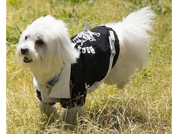 Pet Life ® Varsity-Buckled Dog Coat