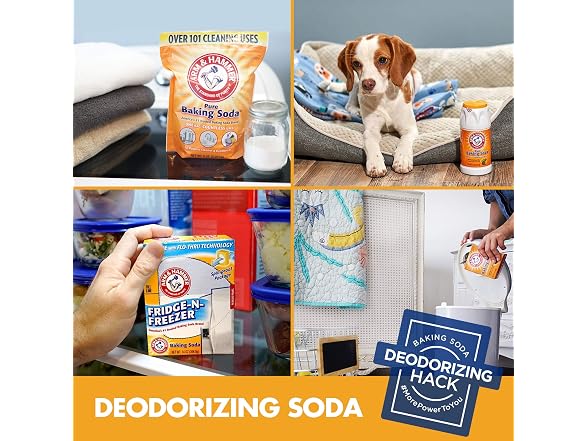 ARM and HAMMER Baking Soda Fridge Air Filter