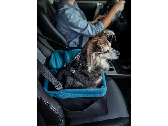 Kurgo Rover Pet Booster Seat for Small Dogs or Cats