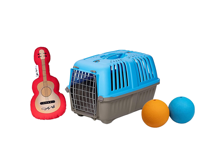 Pamper Them Pets! (Detour) RENAME THIS ITEM
