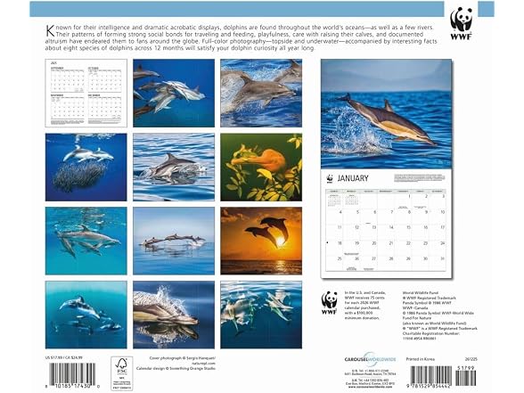 Carousel Calendars, Dolphins WWF 2026 W