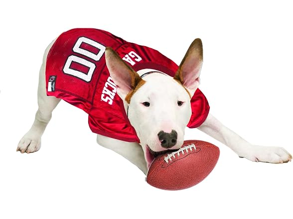 Pets First Pets First NCAA College South Carolina