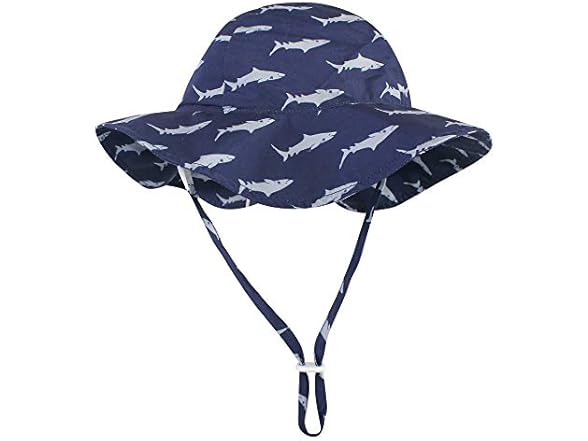Blue Shark