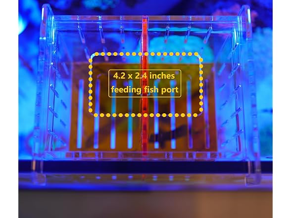 Acrylic Acclimation Box for Saltwater Fish