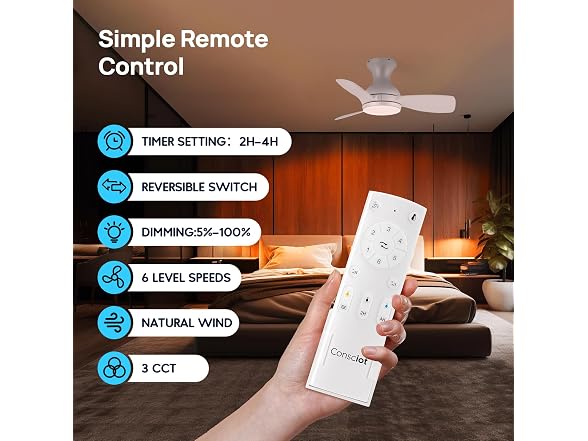 Consciot Ceiling Fan With Lights 30 Inch