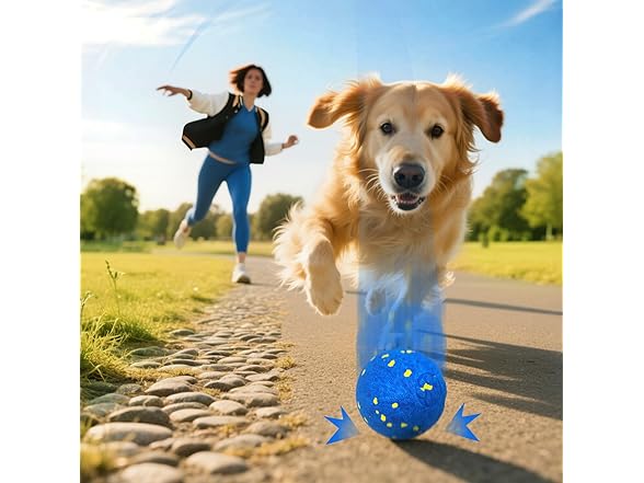 Zuykjeagle Interactive Dog Toy Ball