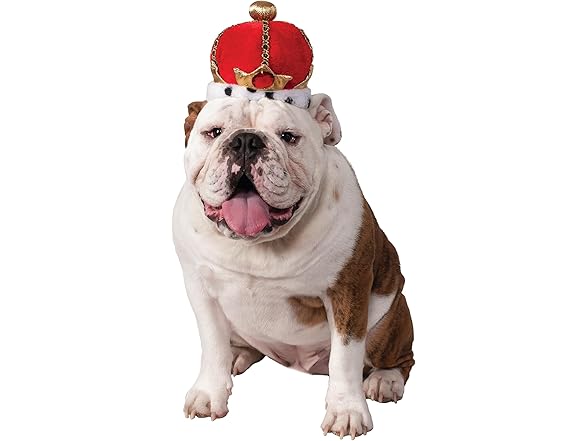 Rubies King Pet Crown for Dogs or Cats, S/M