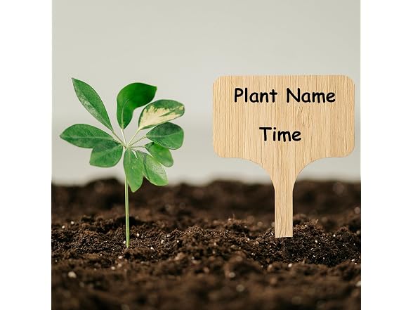 CJFocus GAR-07 (2 Pack) 75Pcs Bamboo Plant Labels