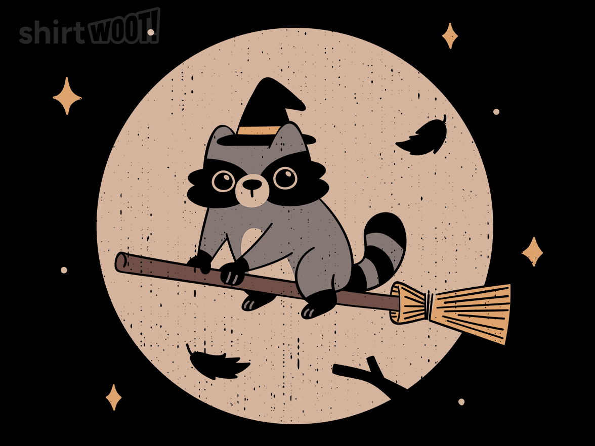 Raccoon Witch - Gallery 9