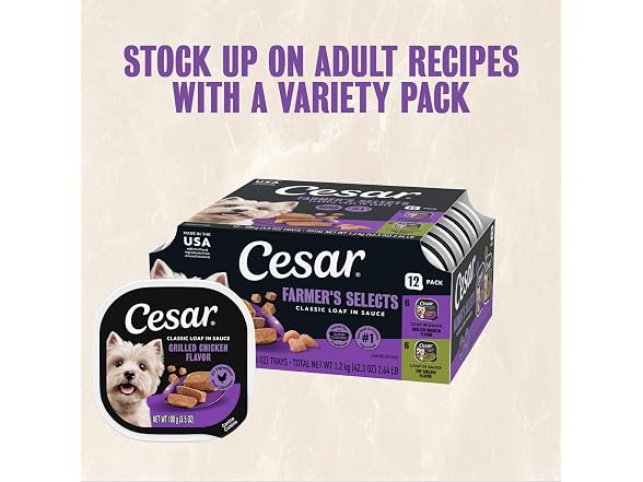 24CT Cesar Classic Loaf in Sauce Adult Wet Dog Food