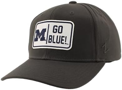 ZHATS Standard NCAA Officially Licensed Hat Competitor Patch Defer Charcoal, Grey, ,Michigan Wolverines