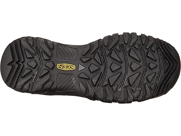 Keen Anchorage 3 Men's Shoes