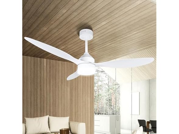 Soilsiu Ceiling Fan with Light