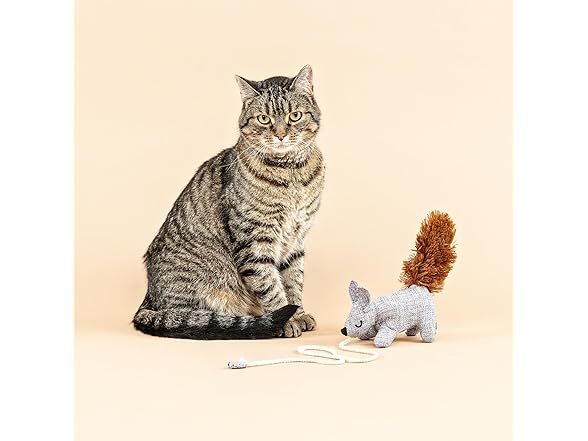Fringe Studio ONE TUFF NUT Teaser Cat Toy