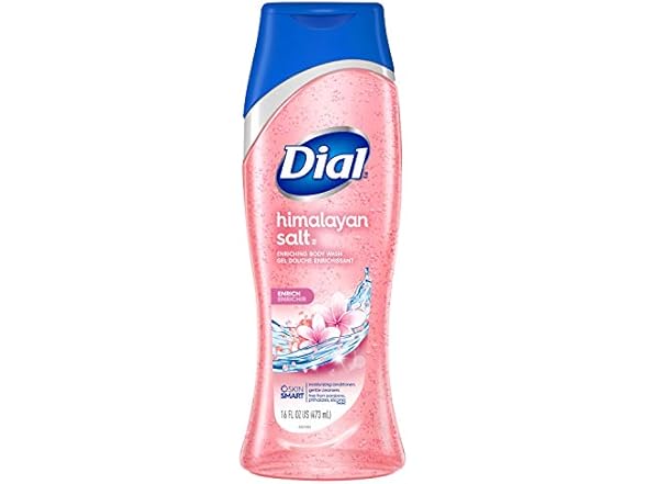 Dial Himalayan Salt Body Wash, 16oz