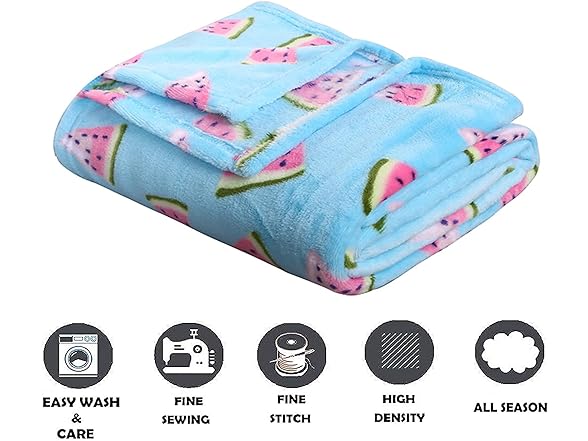 Elegant Comfort Luxury Velvet Throw Blanket