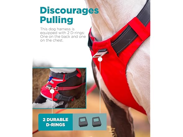 Outward Hound Boulder Adventure Adjustable Dog Harness