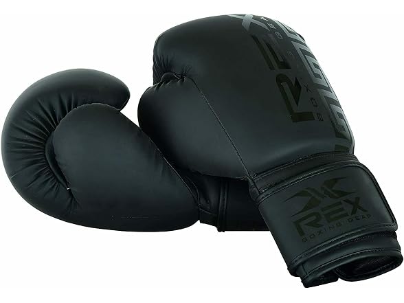 Rex Sports REX Boxing Training Gloves & Kickboxing