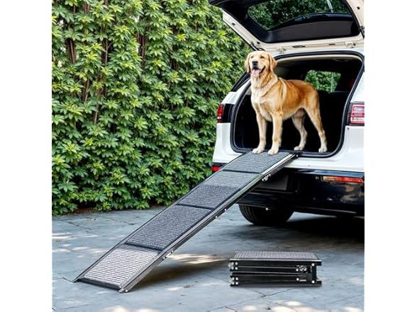 Dog Ramp for Car