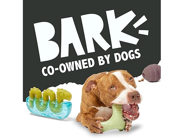 Barkbox Blue Ruffberry Puppy Slushie Dog Toy