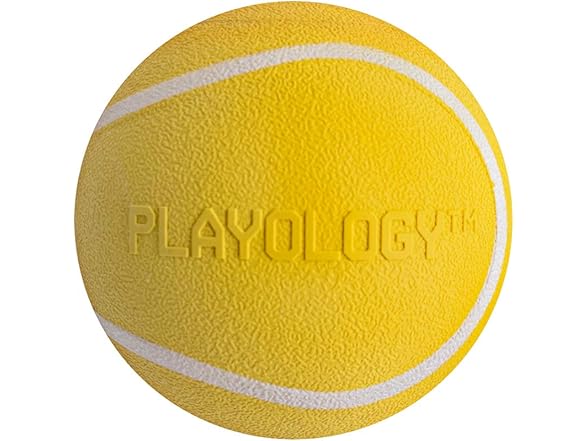 Playology Squeaky Chew Ball Dog Toy Chicken Scent