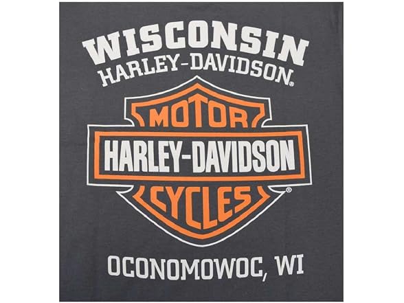 Harley-Davidson Men (XL) Graphic Tee