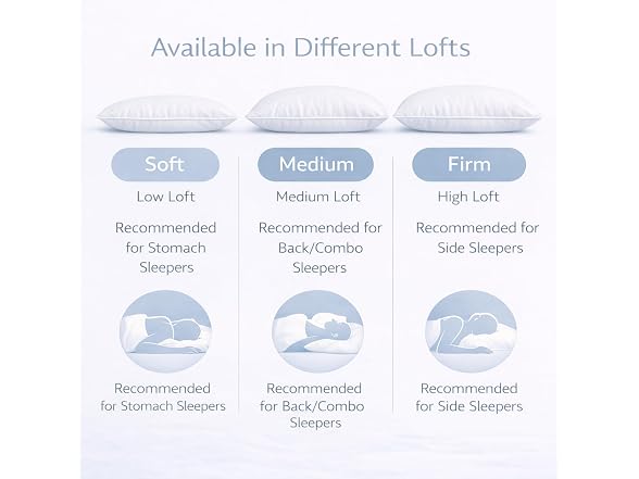 White Down Pillow and Cotton Protector