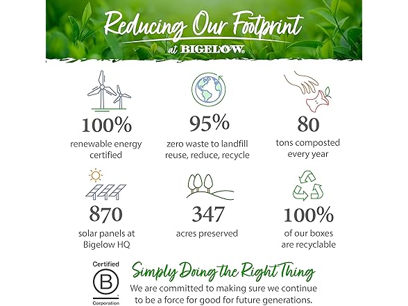 18CT Bigelow Tea Benefits Sleep Chamomile & Lavender