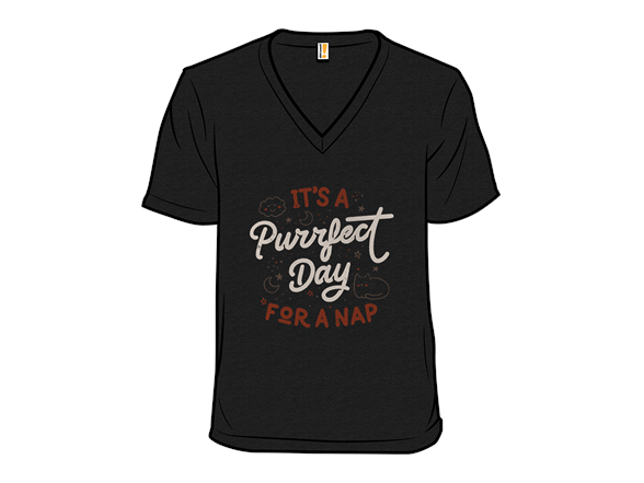 It's a Purrfect Day For a Nap