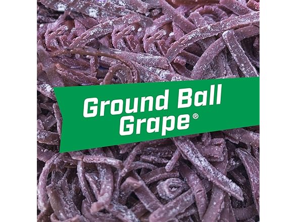 Big League Chew Grape 12pk