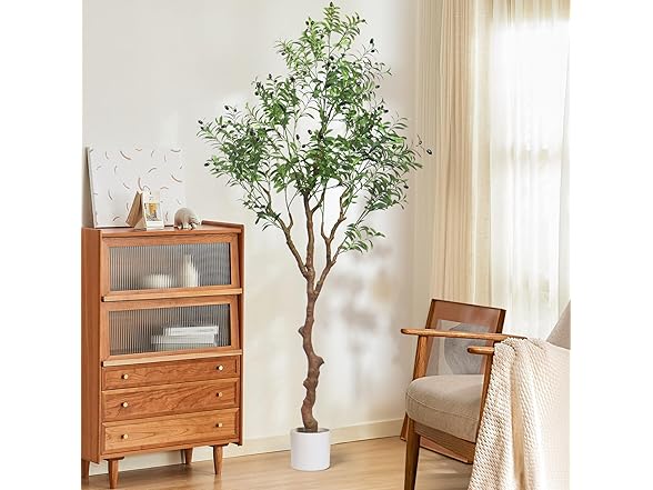 Kmise Olive Tree 7ft 2pk