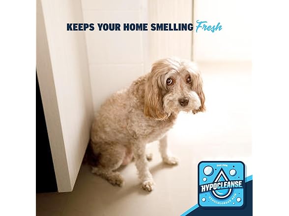 Hypocleanse 200ppm Fogger 1 Gallon