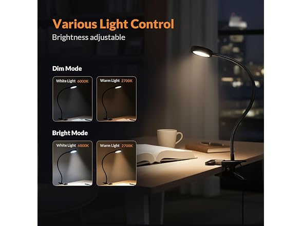 LEPOWER Clip on Light