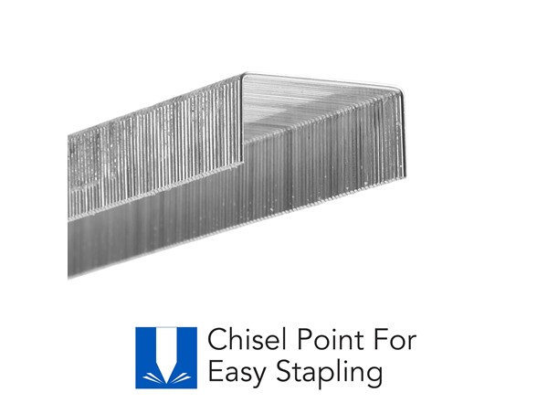 (3-Pack) STANDARD STAPLES