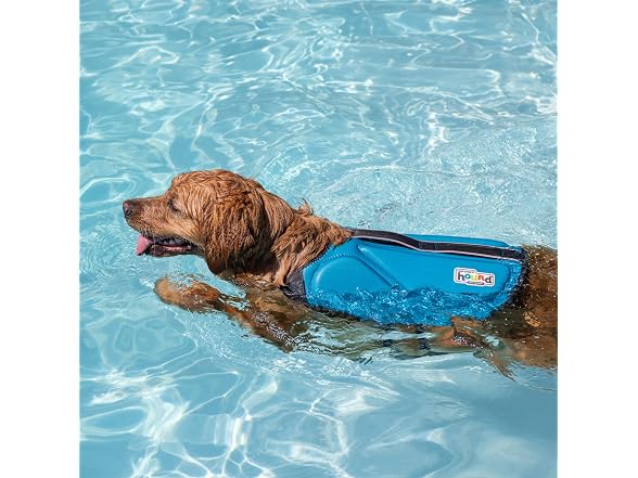 Outward Hound Dawson Swim Dog Life Jacket, H