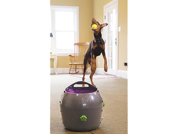 PetSafe Automatic Dog Ball Launcher