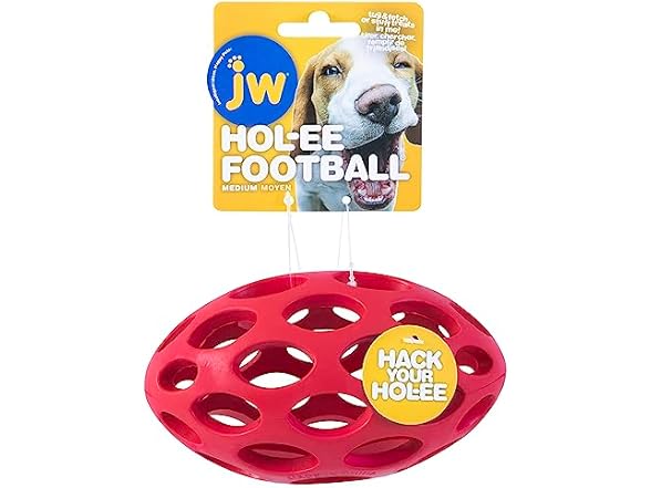 JW Pet Hol-ee Water Bottle Dog Toy