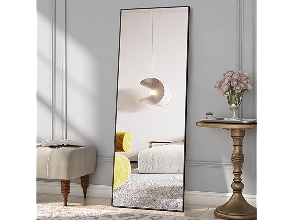 NeuType 55"x20" Full Length Wall Mirror