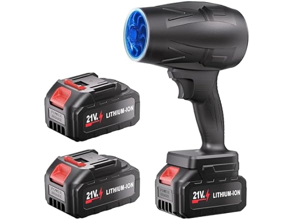 DAILYLIFE Electric Cordless Leaf Blower