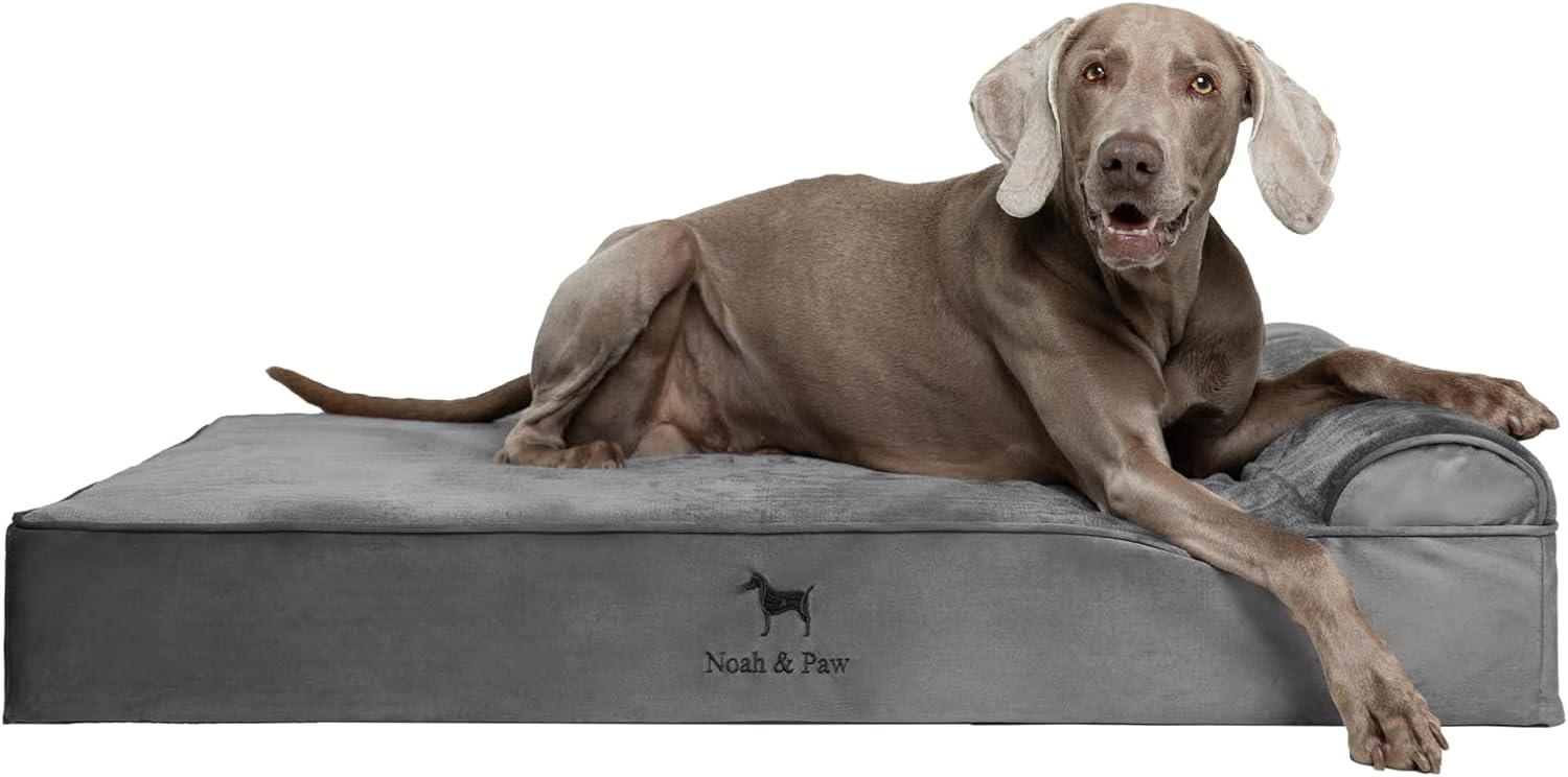 NOAH & PAW Orthopedic Dog Beds- XLarge - Gallery 12