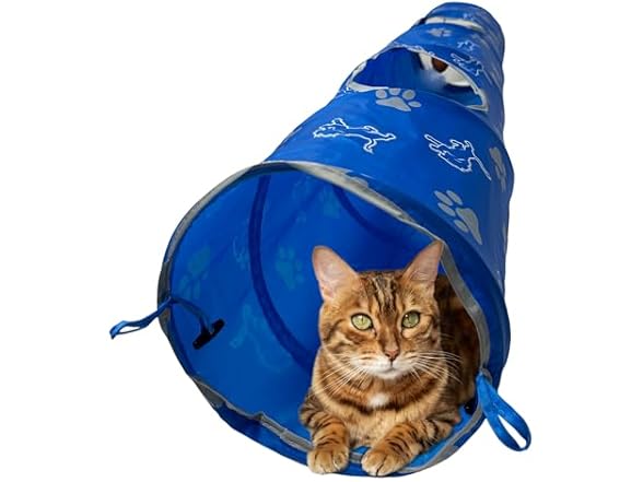 NFL Detroit Lions Cat Tunnel Tube Toy